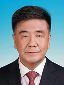 WANG Chengwen