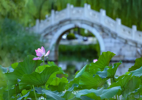 清华大学