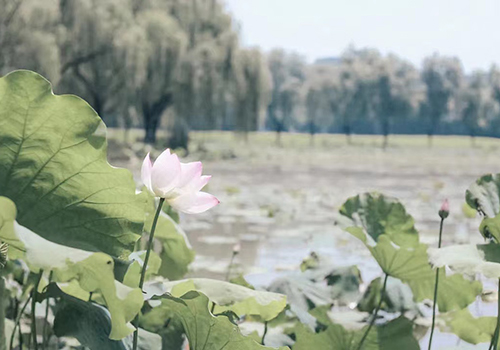 浙江大学