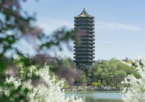 北京大学